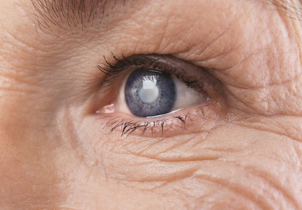 Senior woman face with wrinkles, closeup